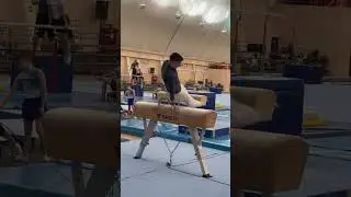 Pommel horse