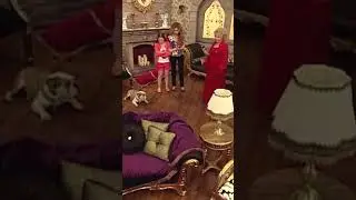Taci Yeniden Köpek Oldu 😥 - Sihirli Annem 