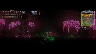 Terraria Thorium + Calamity mod with my brother | part 10