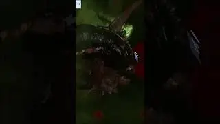 Dead Space Remake Death|| Death Scenes || All Character Death Scenes and Endings 