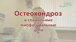 Остеохондроз и мышечные цепи