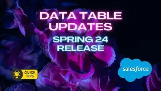 Salesforce Data Table Selections Maintained When Searching: Spring 24 Release