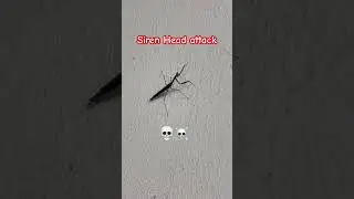 Siren head attack. #siren #sirenhead #scary #attack #ghost #video