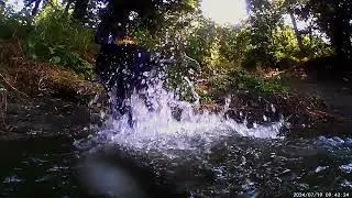 дивный подводный мир реки - wonderful underwater world of the river -