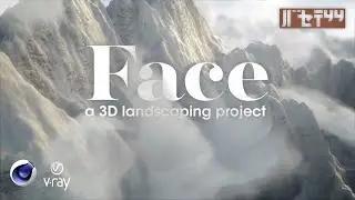 Face - a 3D landscaping project