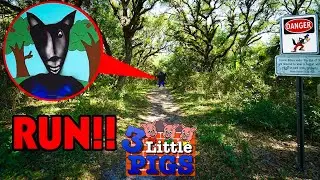 IF YOU SEE THE BIG BAD WOLF IN REAL LIFE, RUN!! *HE ATE SOMEONE ON CAMERA*