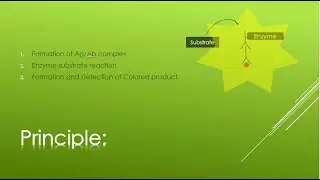 ELISA Test in Urdu/Hindi