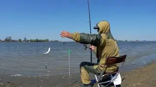 Весенняя рыбалка. Рыбе понравились тамбовские черви !!!! СУПЕР ПРИМАНКА.