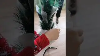 Подарок тёще на Новый год.