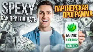 Spexy A4 finance go and earn money. How to learn to invite and build a team?