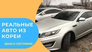 РАЗГРУЗКА КОРЕЙСКИХ МАШИН В УКРАИНЕ! ЦЕНЫ И РЕАЛЬНОЕ СОСТОЯНИЕ АВТОМОБИЛЕЙ
