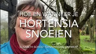 DOE DIT met je HORTENSIA'S voor de mooiste bloemen!
