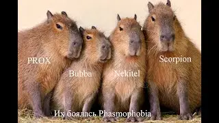 Phasmophopia Них*я не понятно но очень интересно