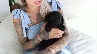 Meet Wendy, a Special Puppy Looking for Her Forever Home! ❤️