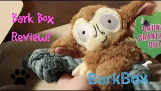 Bark Box: August 2018!