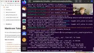 Manticore api example and an excellent github repo