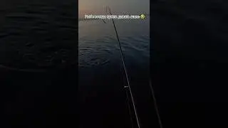 Немного подкинул адреналина. рыбалка в Ялте. Ловля зубаря.