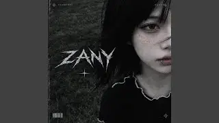 zany