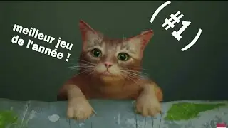 Je joue au meilleur jeu de l'année 2022 ( STRAY ) #1