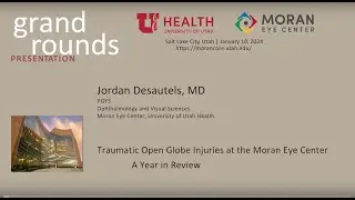 Traumatic Open Globe Injuries at the Moran Eye Center: A Year in Review