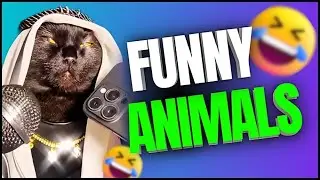 When your pet's inner comedian takes center stage! 😂🐾 #PetComedy #FurryFunnies