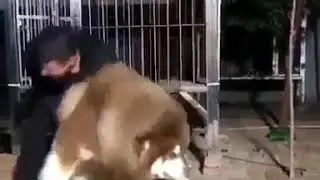 Вот это громадина !!