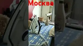 роликов не будет до вторника а потом + 2 сразу