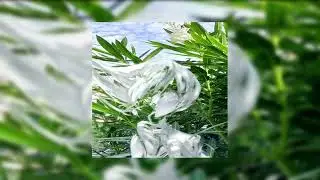 *Free for profit* hyperpop x sqwore x brakence type beat - 