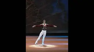 Vladimir Shklyarov - Basílio Variation,  Don Quixote