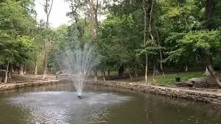 фонтан мостик лес 2
