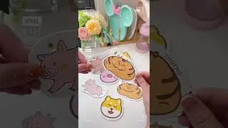 Scrub Sponge Set for Dishes