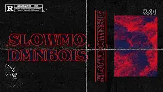 DMNBOI$,SlowDownSiv - Slowmo (Official Visuals)