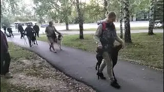 Прогулка