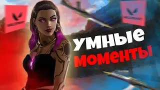 200 IQ МОМЕНТЫ - VALORANT | WARZONE 2 (СМЕШНЫЕ МОМЕНТЫ)