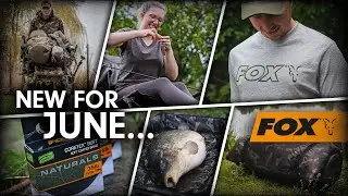 The NEW fishing kit you NEED to know about!