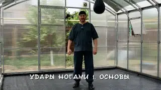 020. Школа ПриБой. Удары ногами. Основы.