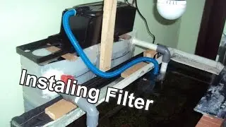 Instaling Bio Filter For Aquascape