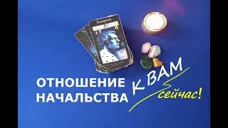 ОТНОШЕНИЕ НАЧАЛЬСТВА К ВАМ. ТАРО