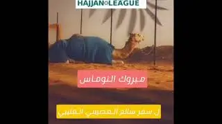 #دوري_هجان سلالات المطايا الحاصلة على المركز الاول بالتمهيدي رقم 1