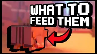 What Do Armadillos Eat in Minecraft | Minecraft Server Hosting