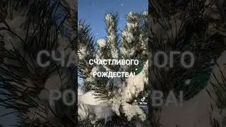 С Рождеством!