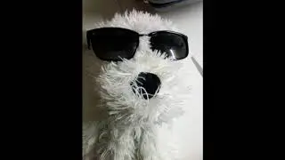 TOXA228-HARDBASS