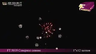 Батарея салютов 'Северное сияние' FT 5019