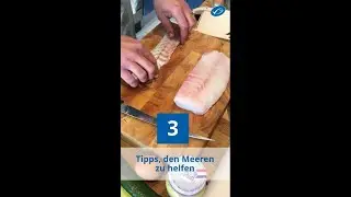 3 Tipps, den Meeren zu helfen