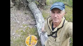 Тихая грибалка.