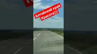 Алтайский край. Автодорога Алейск- Усть-Калманка 