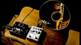 Mirrored Meandering #4: @sourceaudioeffects Nemesis Delay +@drolofx Molecular Disruptor