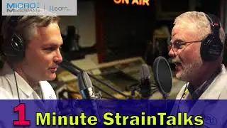 One Minute StrainTalks : Transverse Sensitivity