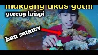 MUKBANG TIKUS GOT GORENG CRISPY