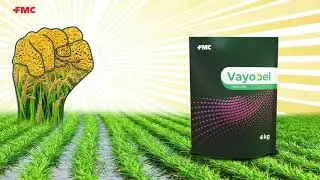 Vayobel® Herbicide to Tackle Weeds #FMC #FMCIndia #Paddy #Vayobel